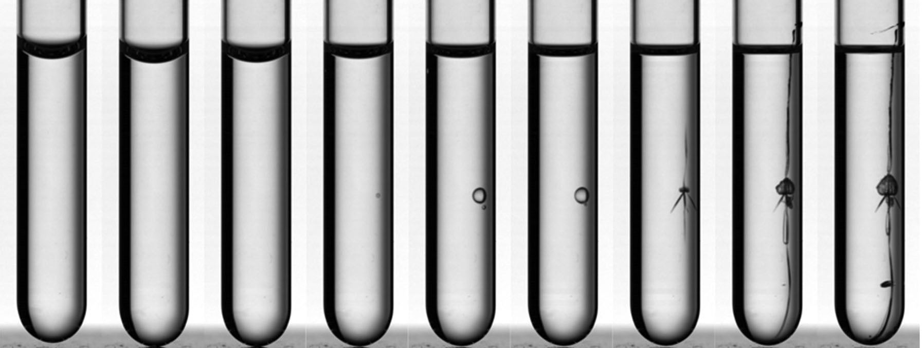 The Destructive Power of Cavitation